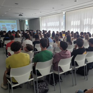 présentation des options en classe de 2de